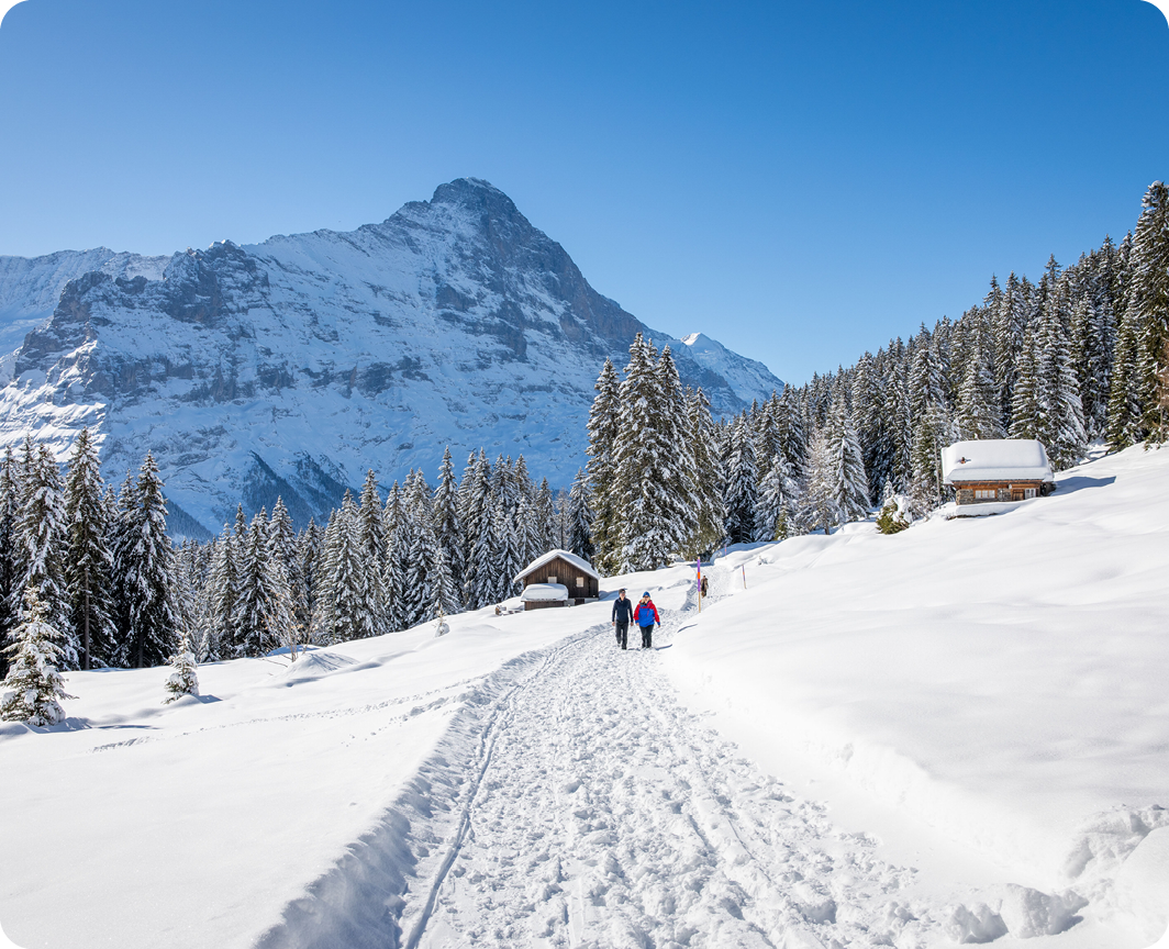 SwissNews